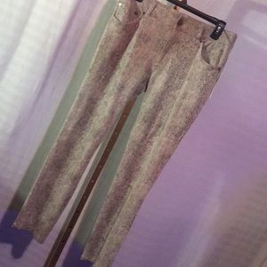 Women’s dress pants alligator print